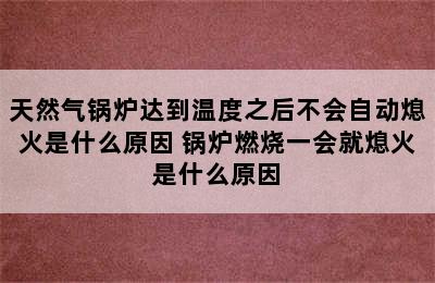 天然气锅炉达到温度之后不会自动熄火是什么原因 锅炉燃烧一会就熄火是什么原因